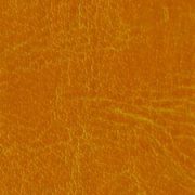 nebraska-thermo-9932