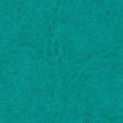 nebraska-thermo-d139