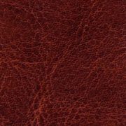 nebraska-thermo-old-d532